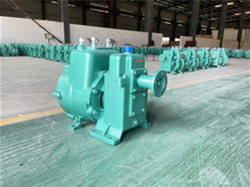 �|�S��ˮ܇ˮ�� 50/110��